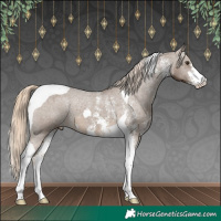 Horse Color:Chocolate Palomino Sabino Tobiano Appaloosa 