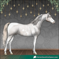 Horse Color:Chocolate Palomino Sabino Tobiano Appaloosa 