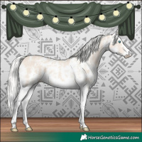 Horse Color:Cremello Sabino 