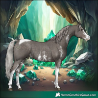 Horse Color:Silver Black Sabino Tobiano 
