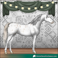 Horse Color:Chocolate Palomino Roan Sabino Splash Blanket 