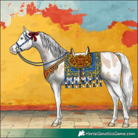 Horse Color:Cremello Appaloosa