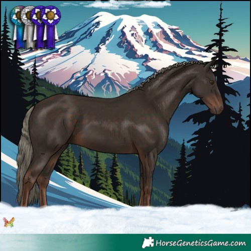 Horse Color:Liver Chestnut Mushroom 