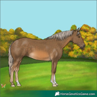 Horse Color:Chocolate Palomino Mushroom 