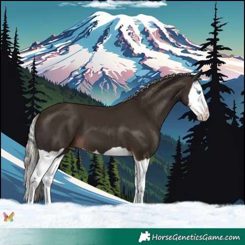 Horse Color:Liver Chestnut Mushroom Splash 