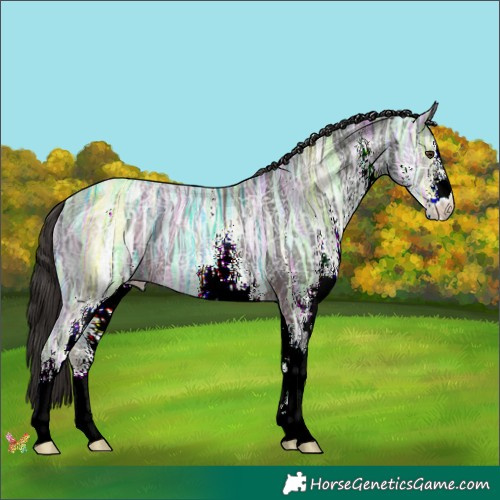 Horse Color:White Spotted Liver Chestnut Ice 