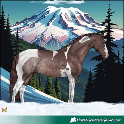 Horse Color:Platinum Chocolate Brown Tobiano 