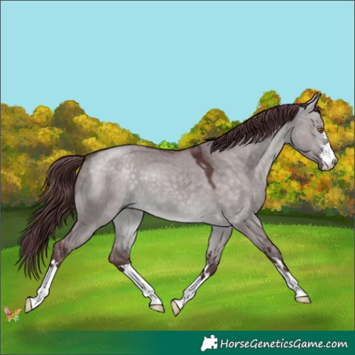 Horse Color:Platinum Chocolate Buckskin Dun 