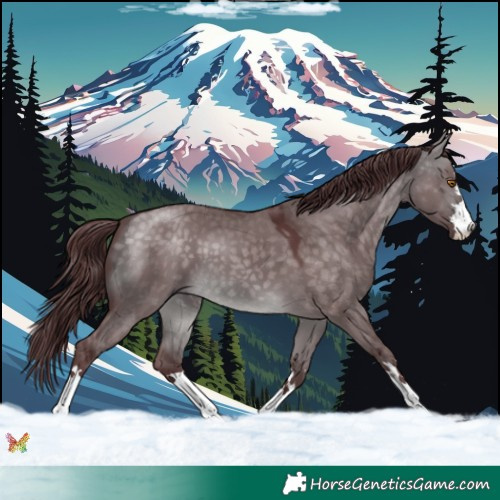 Horse Color:Platinum Chocolate Buckskin Dun 