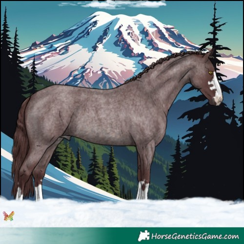 Horse Color:Platinum Chocolate Brown Roan 