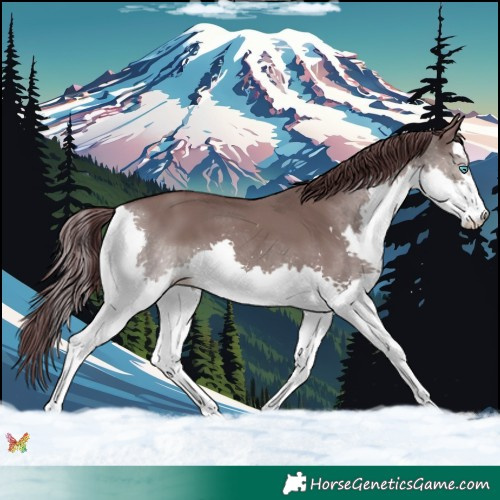 Horse Color:Platinum Chocolate Smoky Grullo Splash 