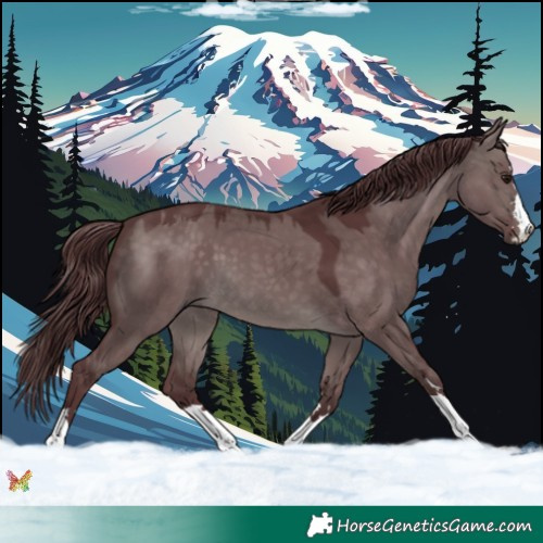 Horse Color:Platinum Chocolate Brown Dun 