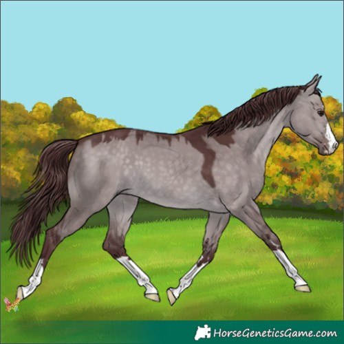 Horse Color:Platinum Chocolate Brown Dun 