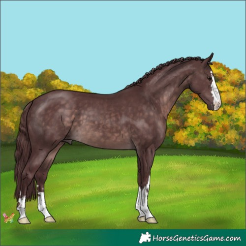 Horse Color:Platinum Chocolate Brown 