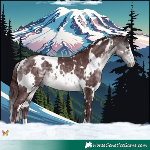 Horse Color:Platinum White Spotted Chocolate Buckskin 