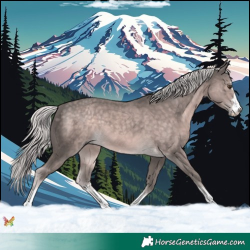 Horse Color:Platinum Chocolate Palomino 