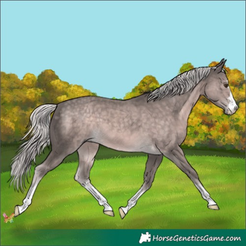 Horse Color:Platinum Chocolate Palomino 