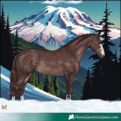 Horse Color:Platinum Chocolate Brown 