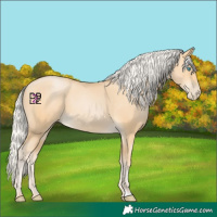 Horse Color:Silver Buckskin Pearl