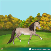 Horse Color:Amber Champagne Dun 