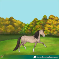 Horse Color:Amber Champagne Dun 