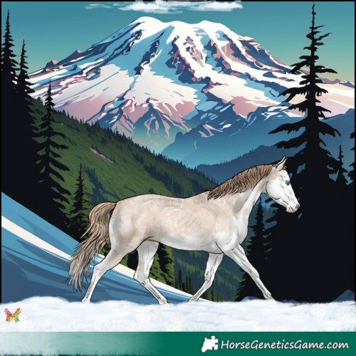 Horse Color:Red Dun Ice Splash 