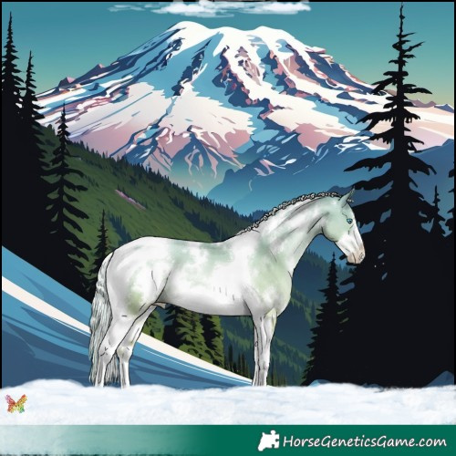 Horse Color:White Spotted Gold Cream Champagne Pearl Tobiano Frame 