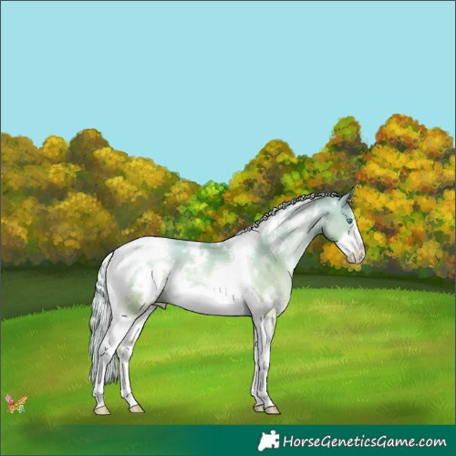 Horse Color:White Spotted Gold Cream Champagne Pearl Tobiano Frame 