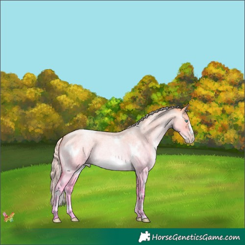 Horse Color:White Spotted Gold Cream Champagne Roan Pearl Dun Frame 