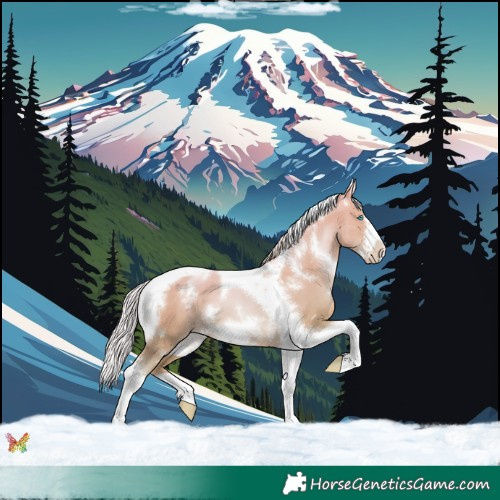 Horse Color:White Spotted Silver Sable Champagne Pearl Dun Tobiano Frame 