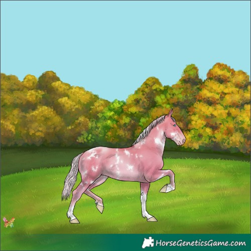 Horse Color:White Spotted Silver Classic Champagne Pearl Tobiano 