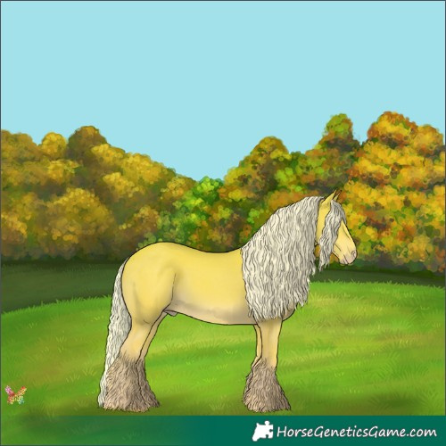 Horse Color:Silver Perlino 