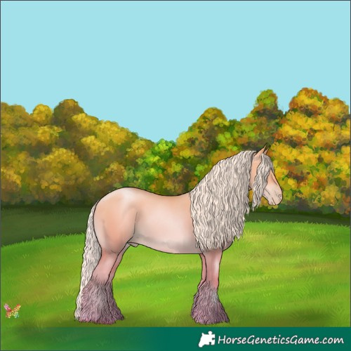Horse Color:Silver Sable Champagne Pearl Dun 