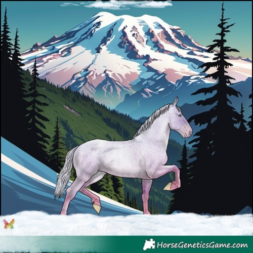 Horse Color:Silver Sable Cream Champagne Roan Pearl Dun 
