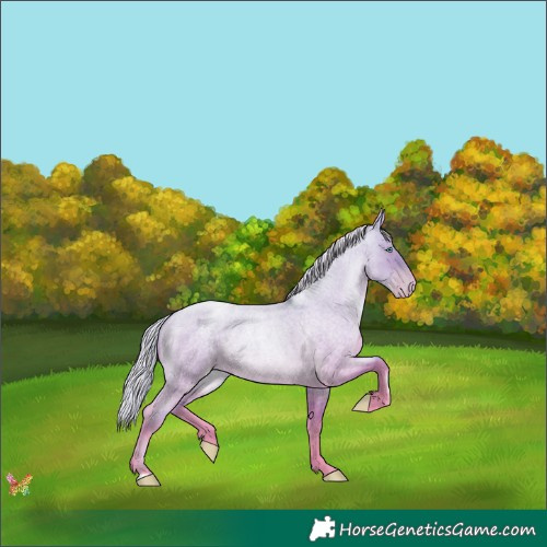 Horse Color:Silver Sable Cream Champagne Roan Pearl Dun 