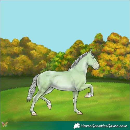 Horse Color:Silver Amber Cream Champagne Pearl