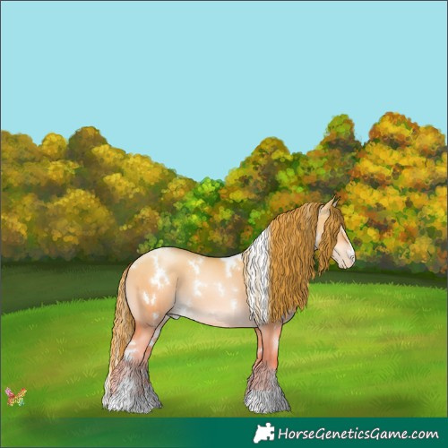 Horse Color:White Spotted Gold Champagne Pearl Dun 