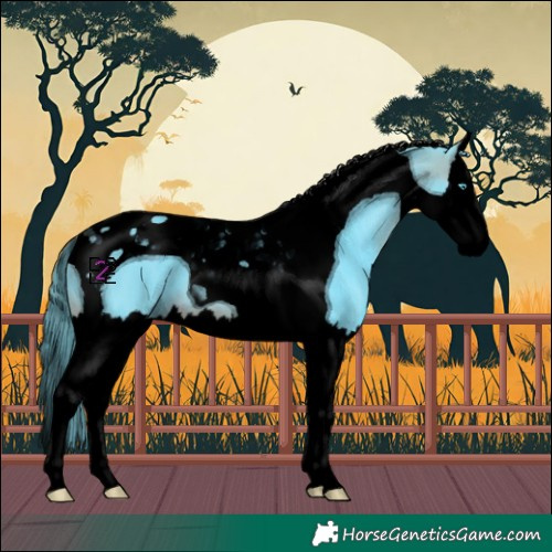 Horse Color:Void Watercolor Brown Splash Tobiano 