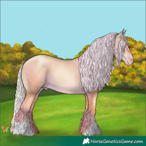 Horse Color:Silver Classic Cream Champagne Pearl Dun 