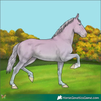Horse Color:Silver Smoky Creme Dun 