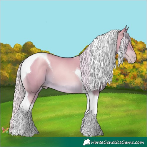 Horse Color:Silver Classic Champagne Pearl Tobiano 