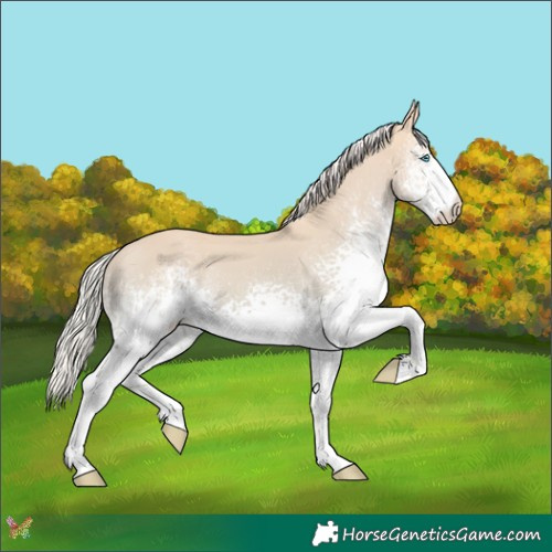 Horse Color:White Spotted Silver Perlino Dun