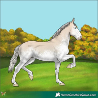 Horse Color:White Spotted Silver Perlino Dun 