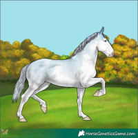 Horse Color:Silver Amber Cream Champagne Roan Pearl Splash