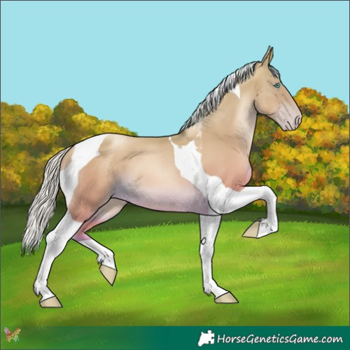 Horse Color:Silver Classic Cream Champagne Pearl Tobiano 