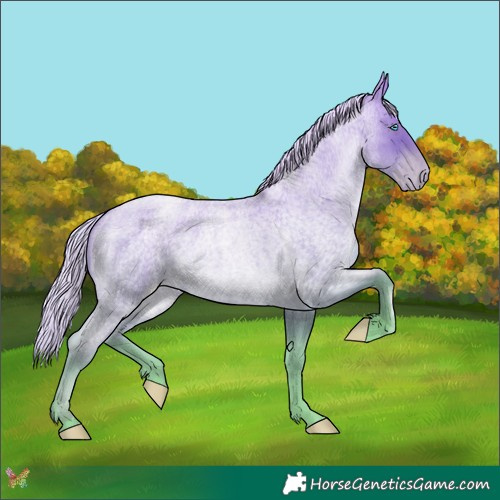 Horse Color:Silver Buckskin Roan Pearl 
