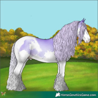 Horse Color:Silver Buckskin Pearl Dun Splash Tobiano 