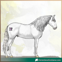 Horse Color:Gray Gold Champagne Onyx Varnish 