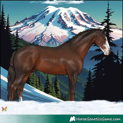 Horse Color:Liver Chestnut Sabino 