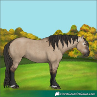 Horse Color:Gray Liver Red Dun Roan 